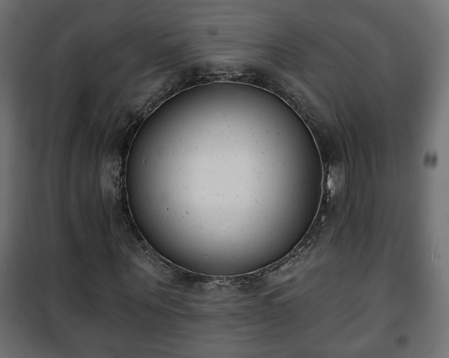 X0000101200867200807071312