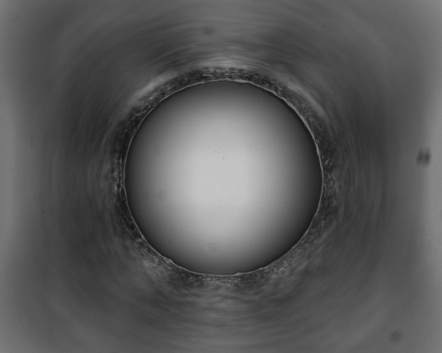 X0000101200870200807071312