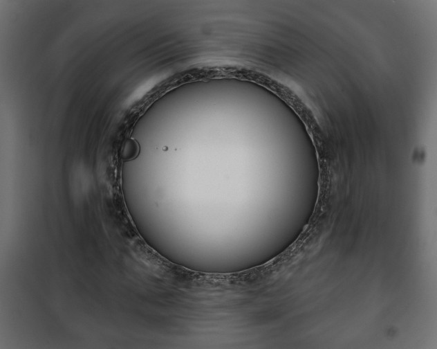 X0000101200871200807071312