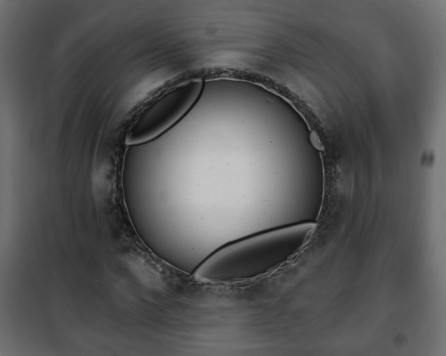 X0000101200872200807071312