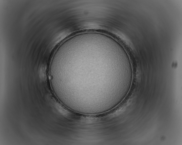 X0000101200873200807071312