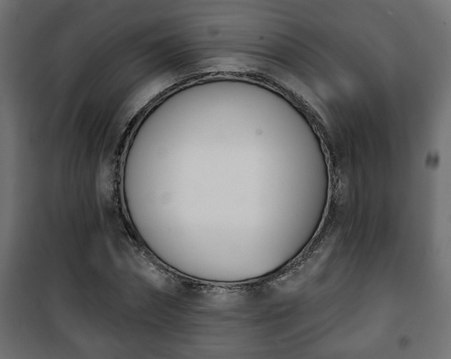 X0000101200874200807071312