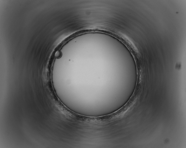 X0000101200876200807071312