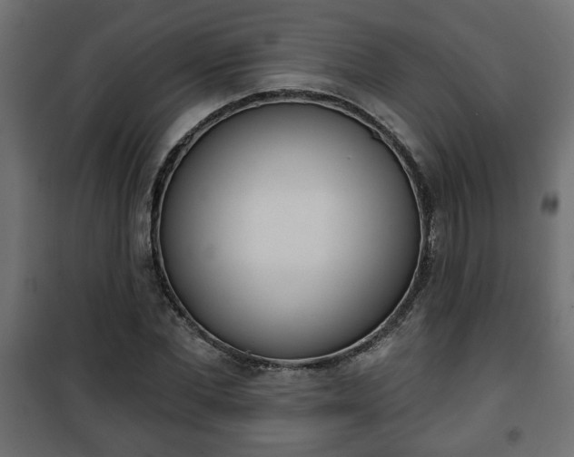 X0000101200877200807071312
