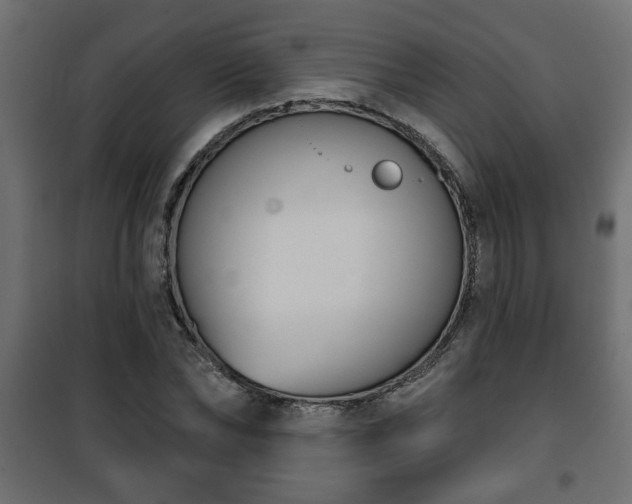 X0000101200878200807071312