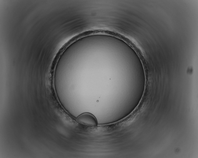 X0000101200879200807071312