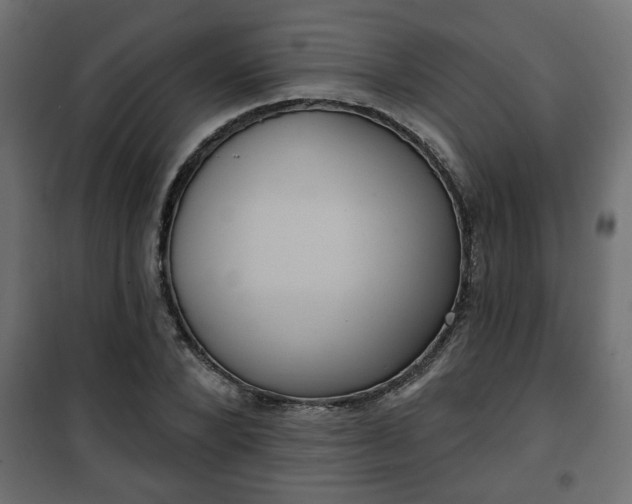 X0000101200880200807071312