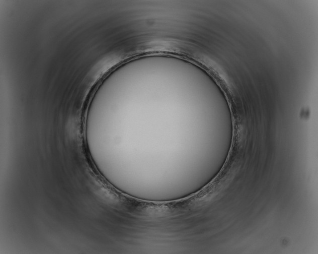 X0000101200882200807071312
