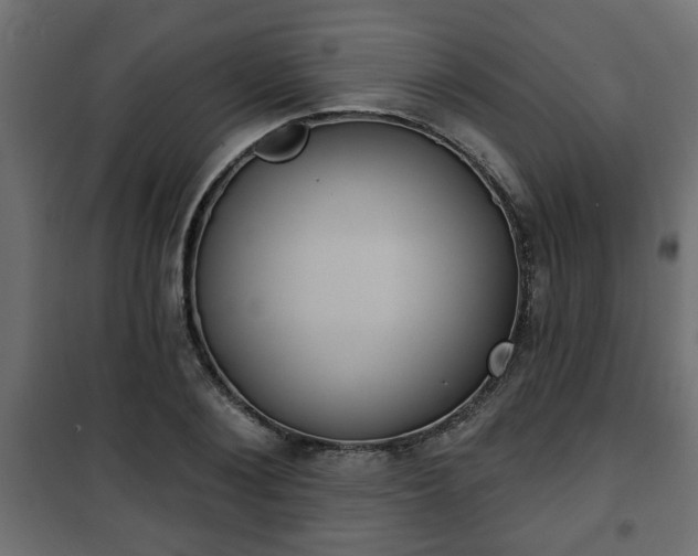 X0000101200884200807071311