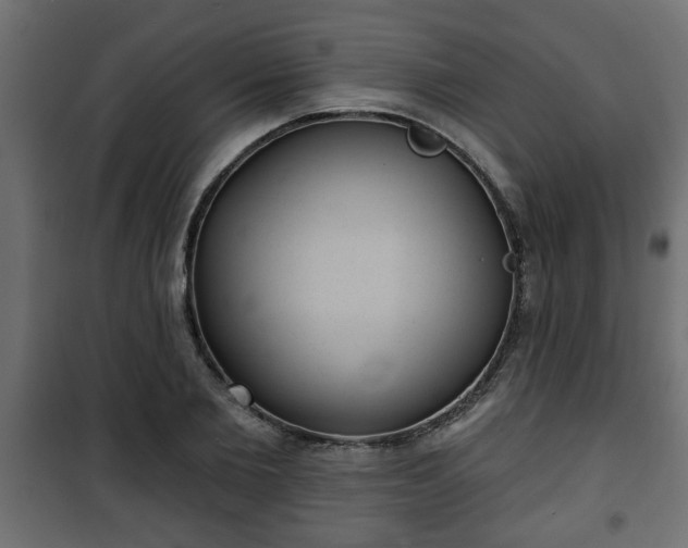X0000101200885200807071311