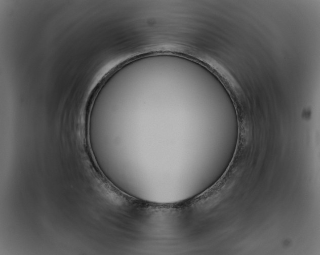 X0000101200886200807071311