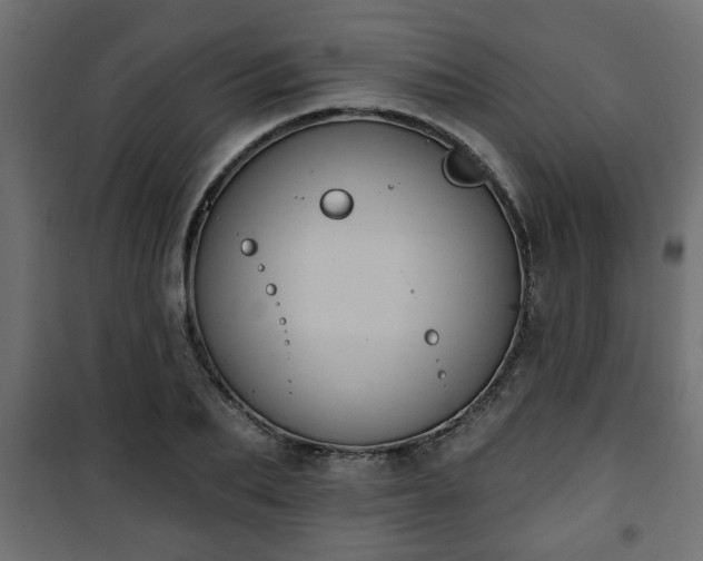 X0000101200887200807071311
