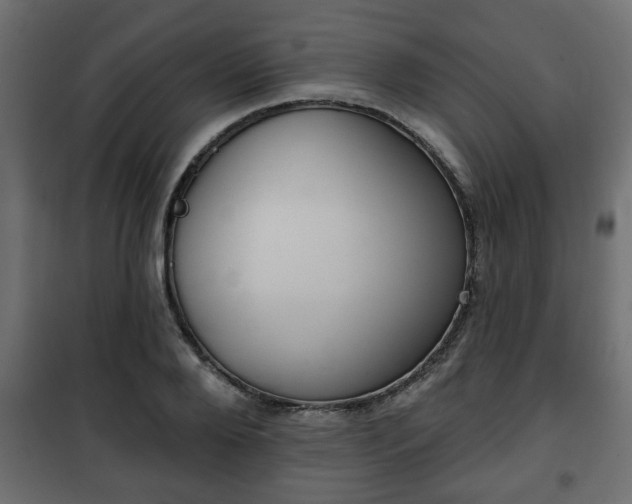 X0000101200888200807071311