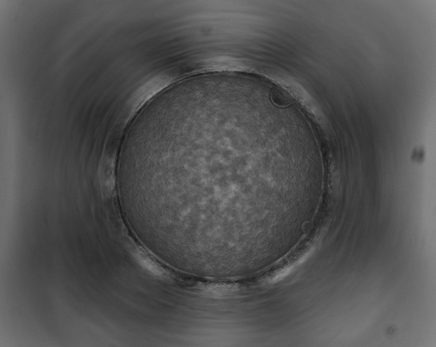 X0000101200889200807071311