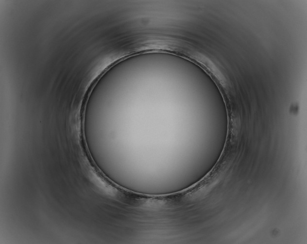 X0000101200890200807071311