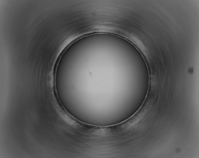 X0000101200891200807071311