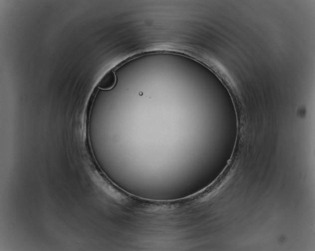 X0000101200892200807071311