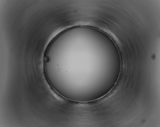 X0000101200894200807071311