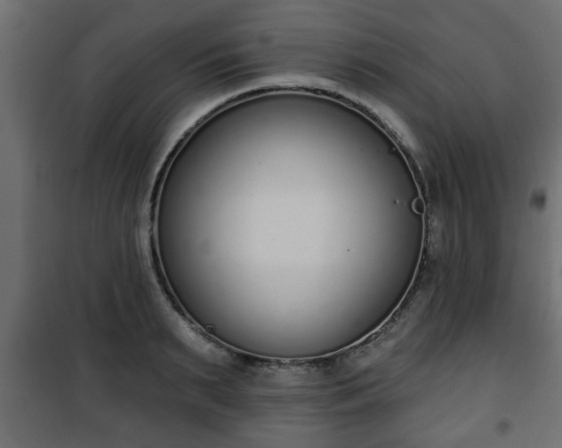 X0000101200895200807071311