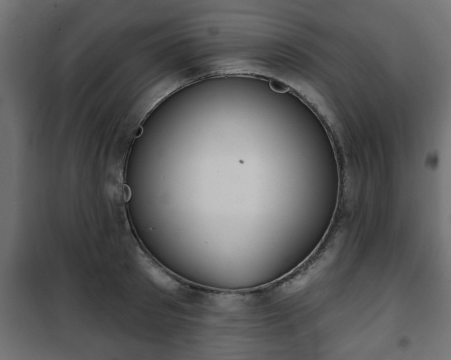 X0000101200897200807071311