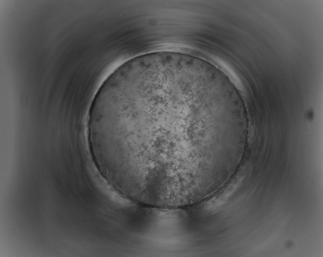 X0000101200899200807071311