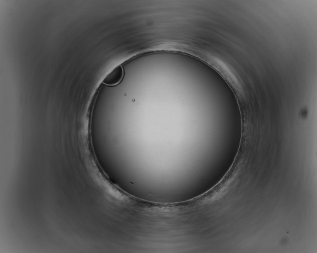 X0000101200900200807071311