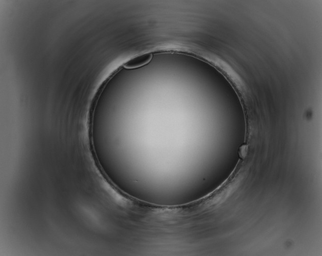 X0000101200902200807071311