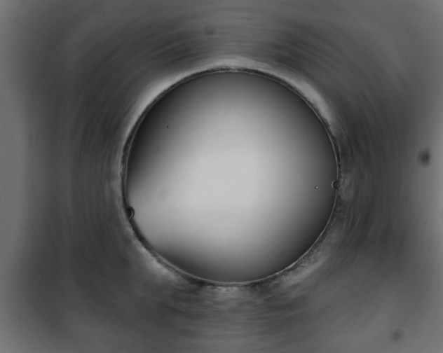 X0000101200903200807071311