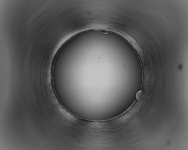 X0000101200904200807071311
