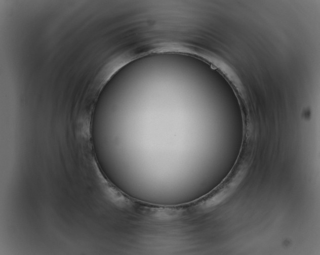 X0000101200905200807071311