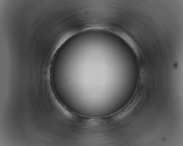 X0000101200906200807071311
