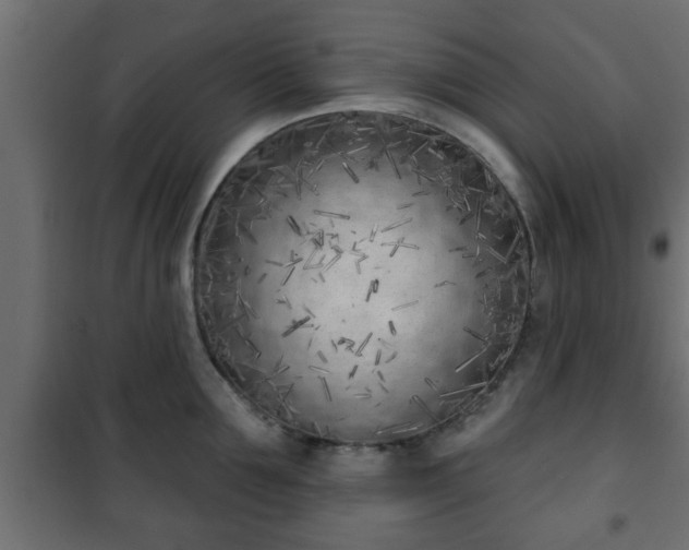 X0000101200907200807071311