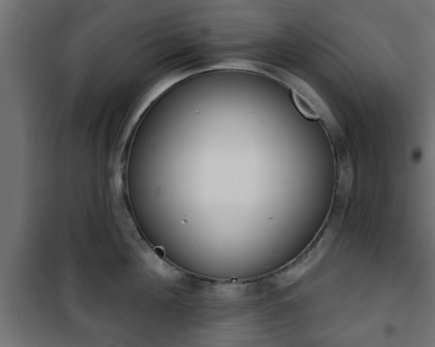 X0000101200908200807071311