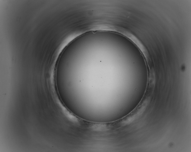 X0000101200909200807071311