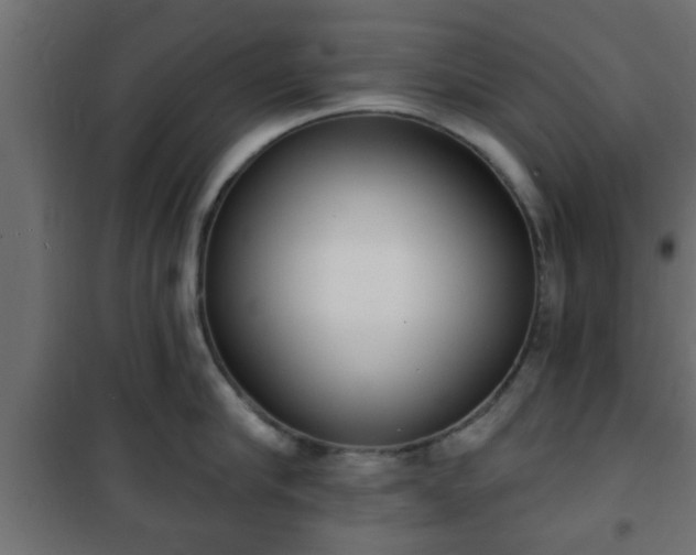 X0000101200910200807071311