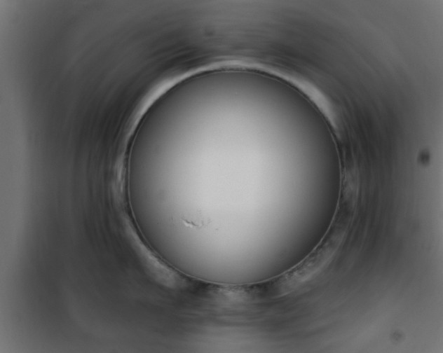 X0000101200911200807071311