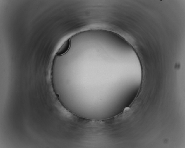 X0000101200912200807071311