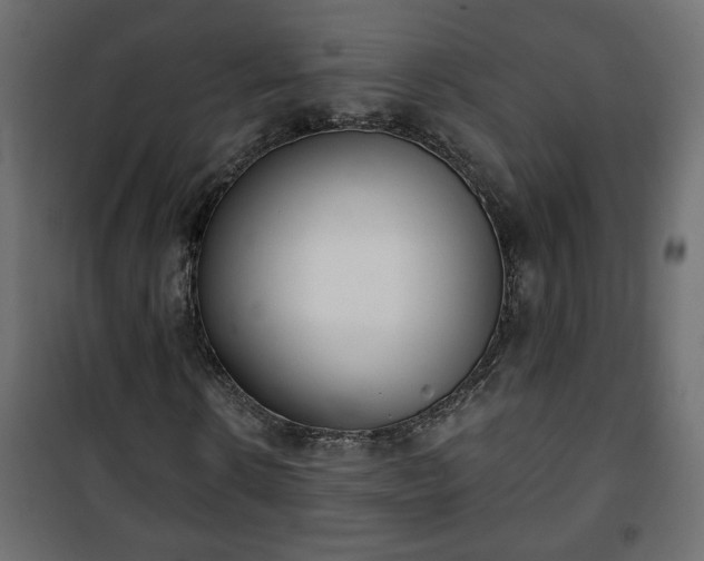 X0000101200914200807071310