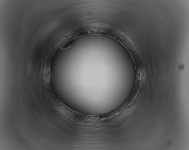 X0000101200915200807071310