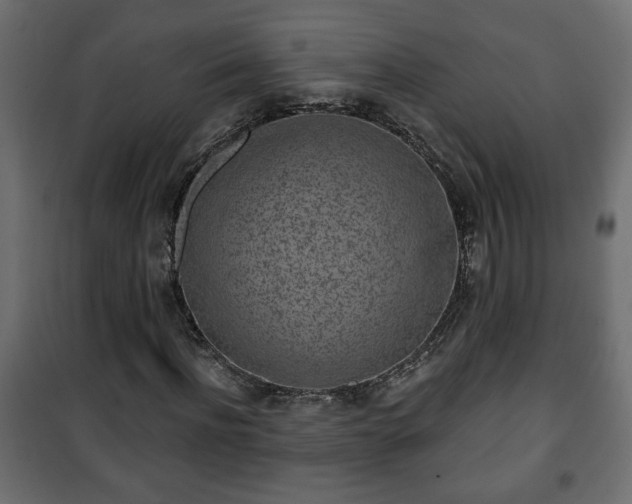 X0000101200916200807071310