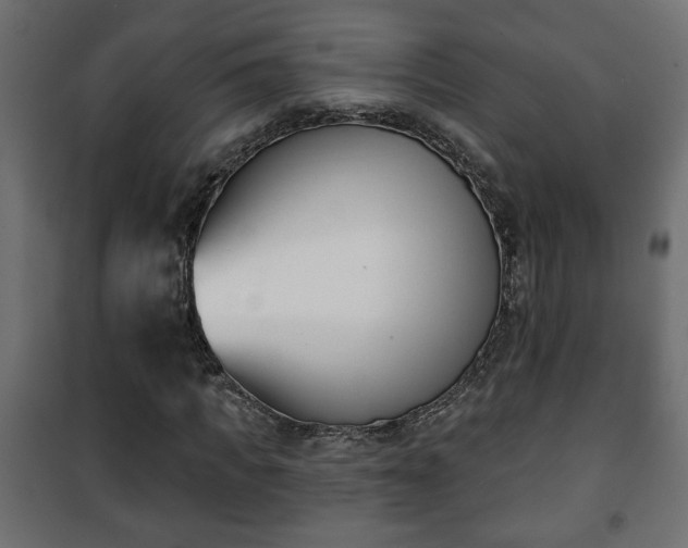 X0000101200917200807071310