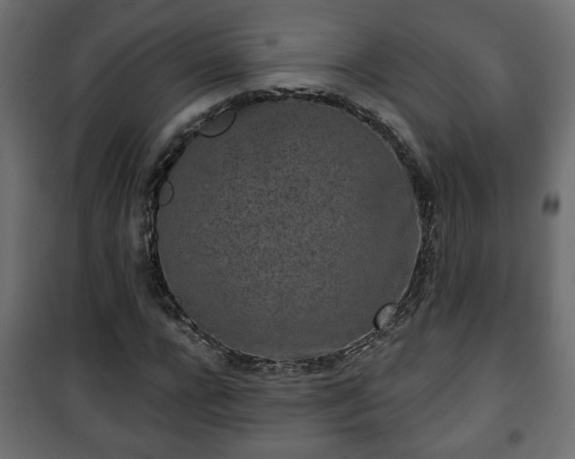 X0000101200920200807071311