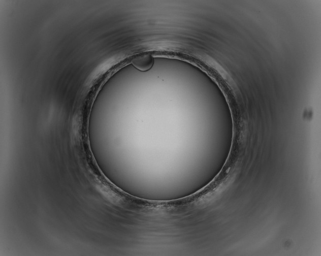X0000101200922200807071311