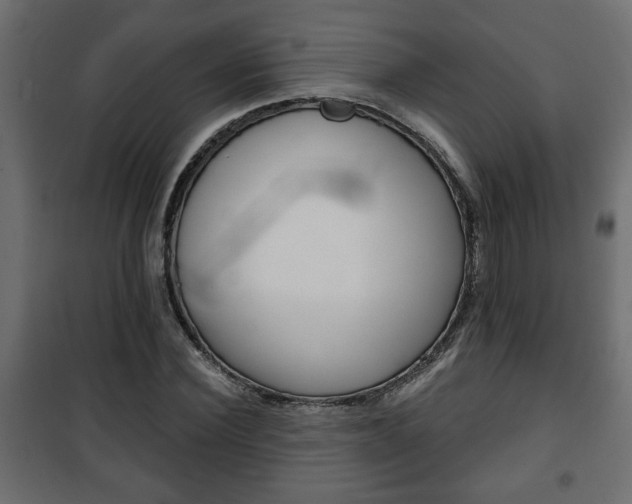 X0000101200924200807071311