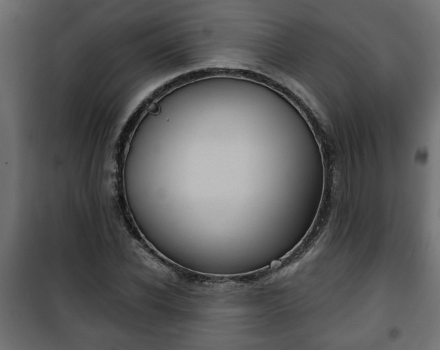 X0000101200926200807071311