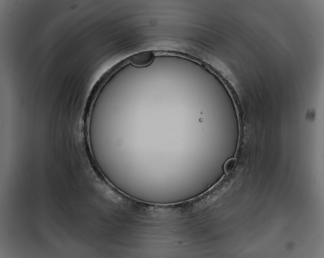 X0000101200928200807071311