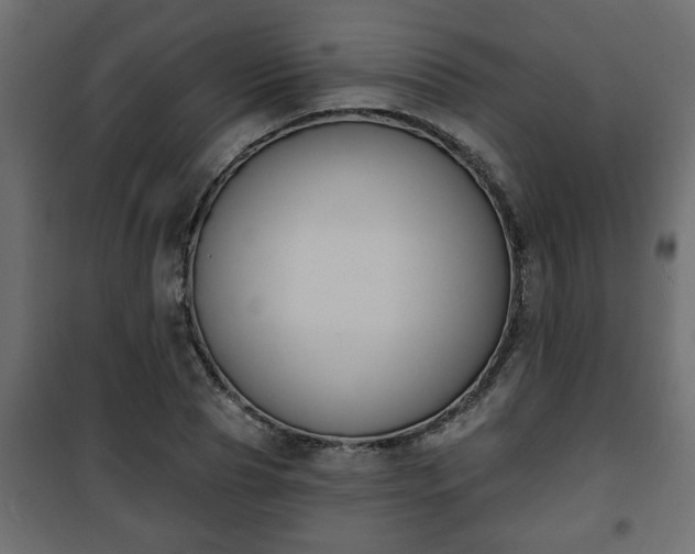 X0000101200929200807071311