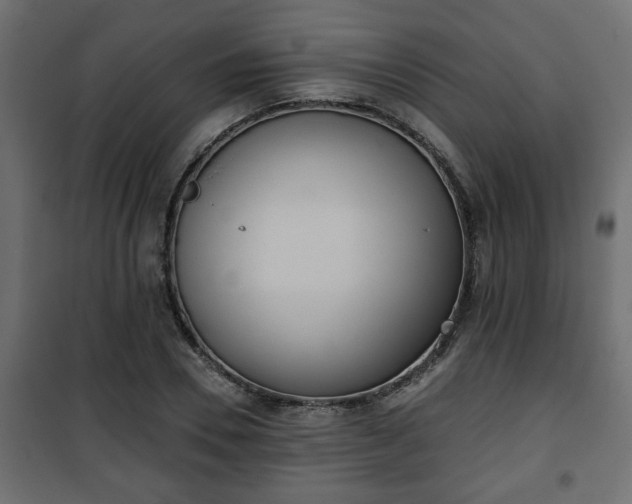 X0000101200930200807071311