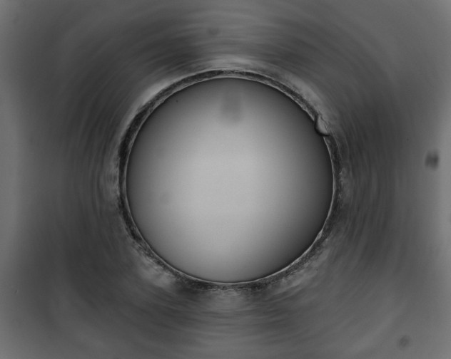 X0000101200931200807071311
