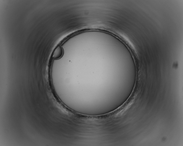 X0000101200932200807071311